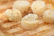 Соляная Плитка для жарки HPCsalt Grill с бордюром 20*20 см